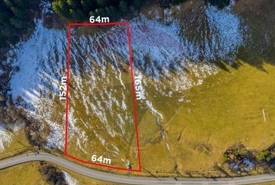 Teren intravilan de 10000 mp, în Brădet - 2