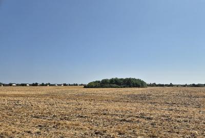 Teren de 4428 mp, în Balotești - 5