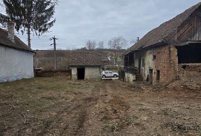 Teren de 1115 mp, în Bârghiș - 1