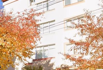 Apartament cu 3 camere decomandat în Valea Muscelului - 2