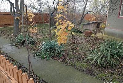 Casă cu 3 camere în Ceamurlia de Jos - 6