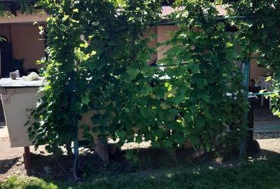 Casă cu 4 camere cu Teren 2300 Mp în Năvodari