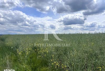 Teren de 4652 mp, în Oșorhei - 2