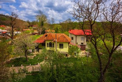 Casă individuală cu 3 camere cu Teren 945 Mp în Provița de Sus - 32