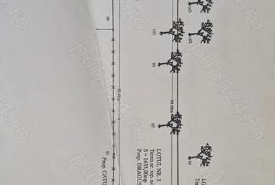 Casă cu 6 camere în Central - 4