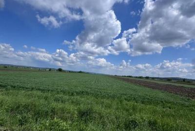 Teren extravilan, 1 hectar, Volovat - 1