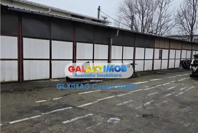 Teren de 7400 mp, în Bascov - 1