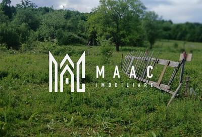 Teren Construcții intravilan de 8300 mp, în Sălătrucel - 1