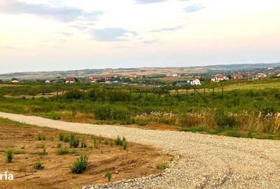 Teren de 600 mp, în Oncea