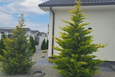 Casă individuală cu 3 camere cu Canalizare în Exterior Vest - 33