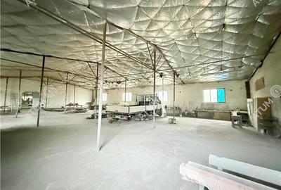 Hala industriala 1200 mp utili de inchiriat in Cisnadie - 5