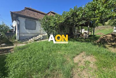 Casă individuală cu 3 camere cu Canalizare în Gura Arieșului - 12