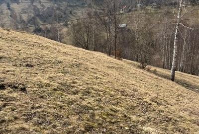 Vanzare Teren cu Punct de Belvedere in Moieciu zona Magura-Pestera - 10