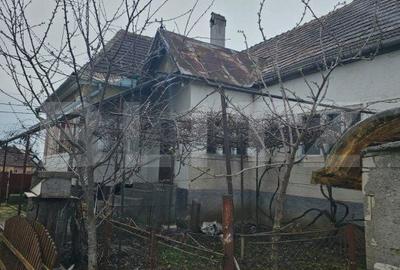 Casă cu 3 camere cu Teren 2766 Mp în Batoș - 7