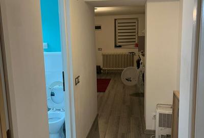 Apartament cu 2 camere semidecomandat în Dosu Bricii - 5