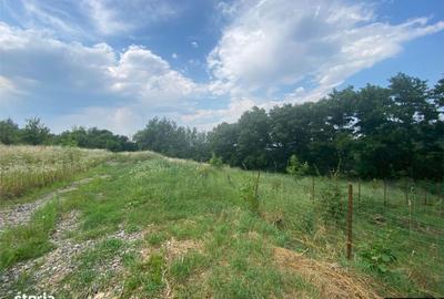 Spațiu comercial, în Fălticeni - 2