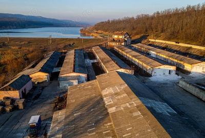 Spațiu comercial, de 50,000 mp, în Horgești - 17