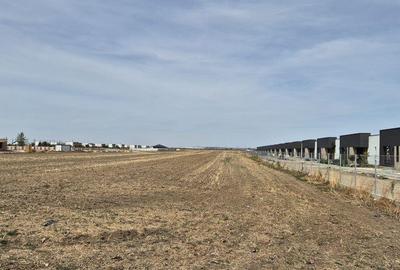 Teren intravilan 16.248 mp - Domnesti - 5