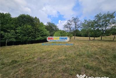 Teren de 2700 mp, în Curtea de Argeș - 5