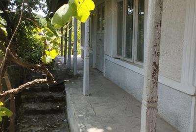 Teren cu casa batraneasca Magura, Bacau - 6