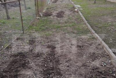 Apartament cu 3 camere decomandat în Mihai Viteazu - 13