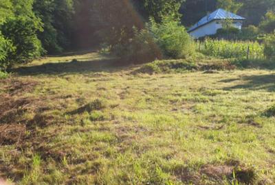 Teren 7000mp Pucioasa - Zona Pitoreasca - 5