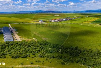Spațiu comercial, în Tărlungeni - 4