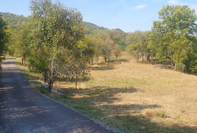 Teren de 4780 mp, în Fornădia - 4