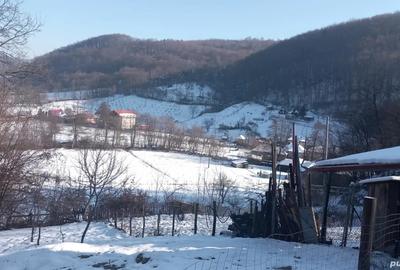 Refugiu in inima naturii Casa de vanzare in Bratca, langa Valea Bratcu?ei, jud. Bihor - 2