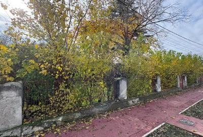 Teren de vanzare in Valu lui Traian, Calea Dobrogei - 2