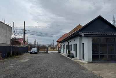 Depozitelor- Vanzare spatiu comercial + teren + hala - Str. Caminului - 2