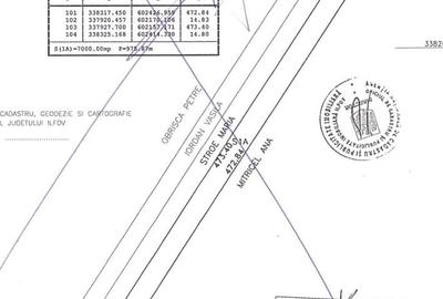 Afumati Balta Batal teren de vanzare 7000 mp - 4