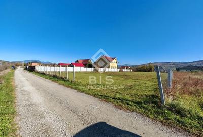 Teren 800 mp - Unirea Teren 800 mp - Unirea - 2