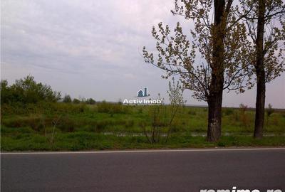 Teren de 5000 mp, în Ciolpani - 3