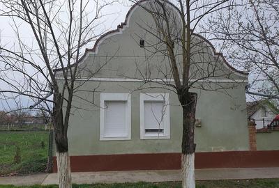 Casă cu 3 camere cu Teren 1750 Mp în Pustiniș - 5