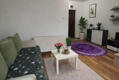 Garsonieră decomandată, mobilată în Tudor - 2