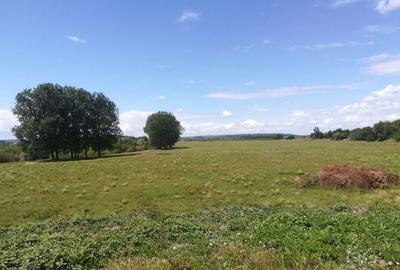 Casă cu 2 camere în Central - 3