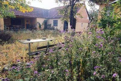 🏡  Casă de Poveste în Șiria, Arad- Locație Rară - 1