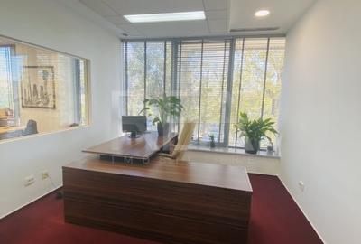 Birou, de 1,532 mp, în Sud - 17