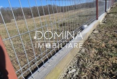 Teren Construcții intravilan de 1184 mp, în Drăguțești - 8