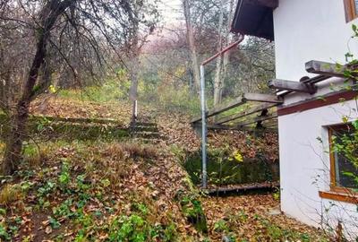 Casă cu 2 camere cu Teren 1000 Mp în Schei - 11