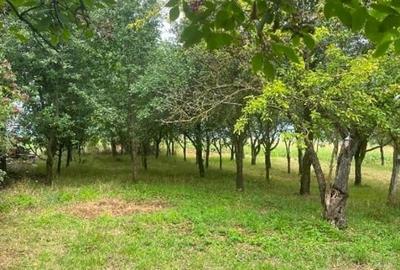 COMISION 0%  - Casa Individuala 100 Mo 733 Mp Teren - 5