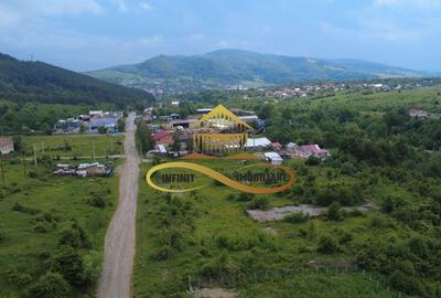 Teren pentru constructie hala indrustriala - Moinesti/Bacau - 4