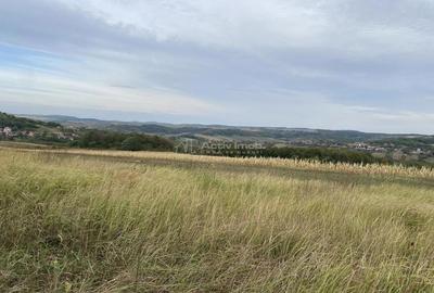 Teren de 3166 mp, în Tileagd