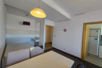 Inchiriere garsoniera Theodor Pallady, drumul Gura Solcii, bloc 2022 - 4