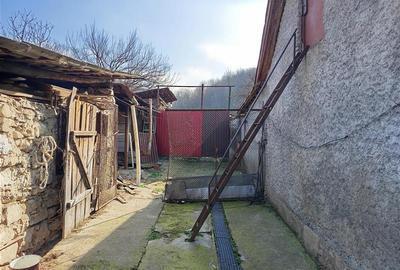 Casă individuală cu 10 camere cu Teren 1439 Mp în Ciclova Română - 22