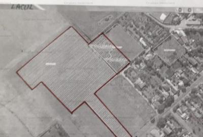 La sosea Teren 27500mp intravilan Lacu Sarat - 4