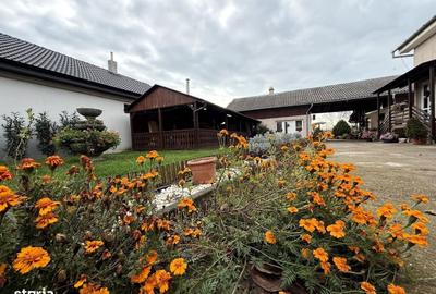 Casă cu 4 camere cu Teren 2300 Mp în Sântandrei - 18