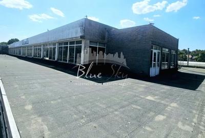 Spatiu Generos cu Terasa Circulabila in Centru - 18