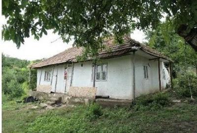 Casă cu 2 camere cu Teren 2361 Mp în Costinești - 7